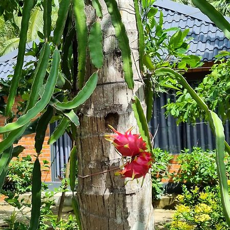 Homestay Nam Ham Luong Ben Tre Exterior foto