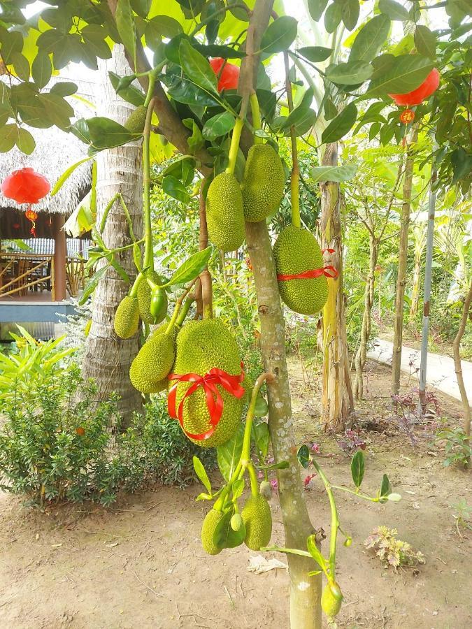 Homestay Nam Ham Luong Ben Tre Exterior foto