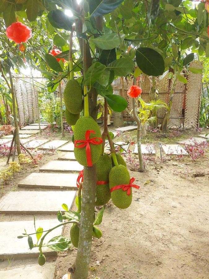 Homestay Nam Ham Luong Ben Tre Exterior foto