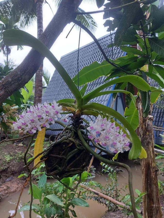 Homestay Nam Ham Luong Ben Tre Exterior foto