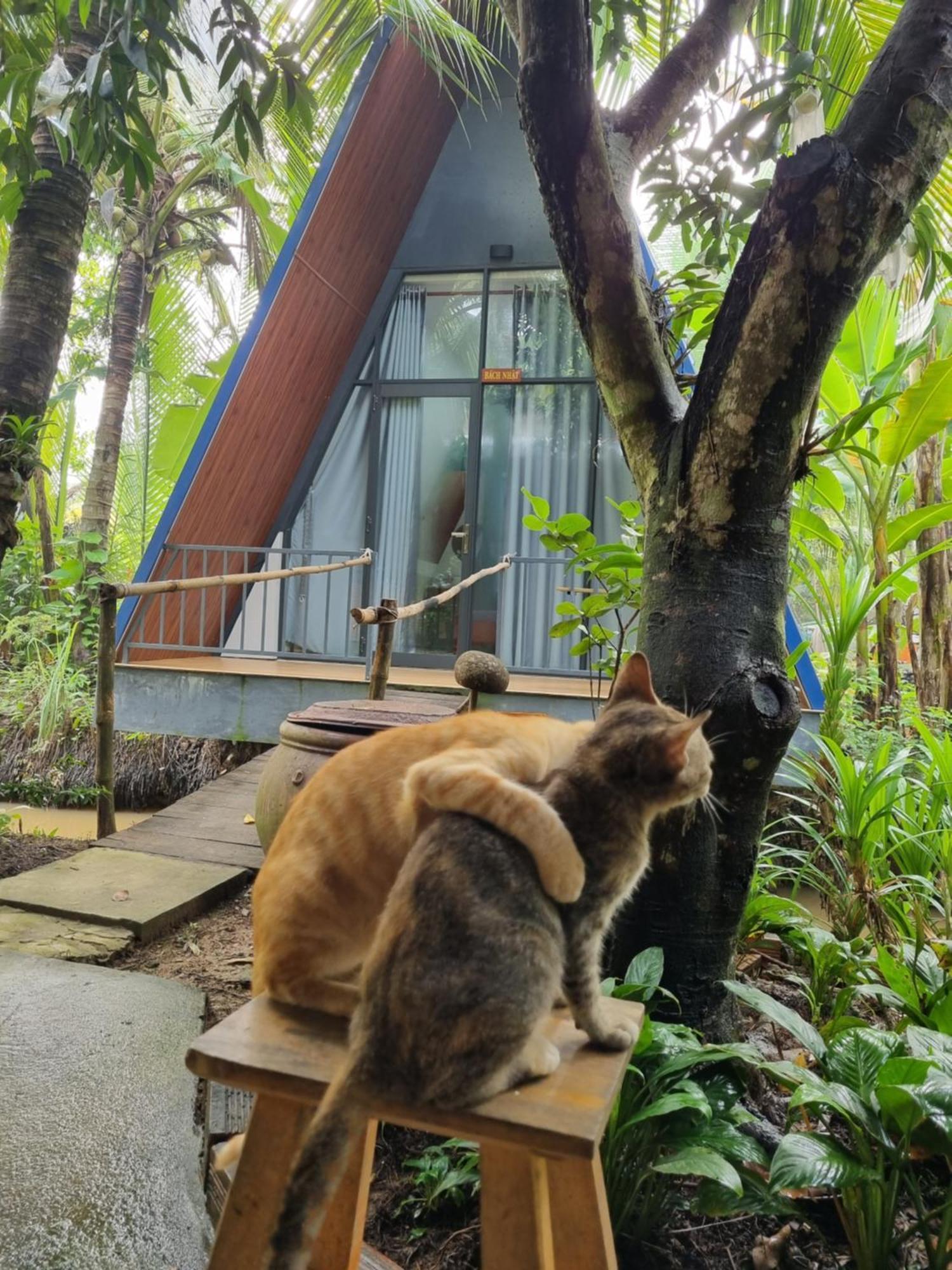 Homestay Nam Ham Luong Ben Tre Exterior foto