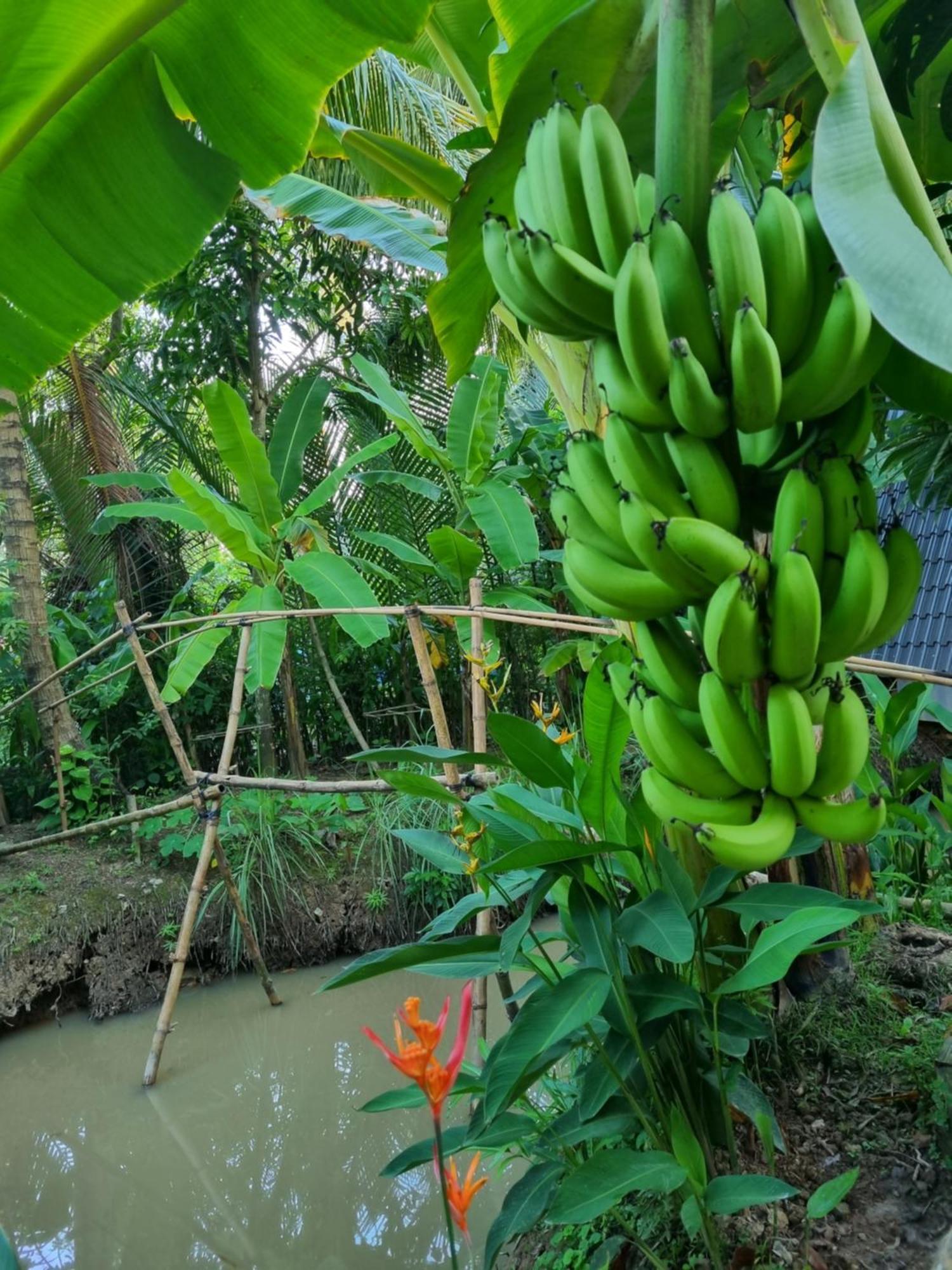 Homestay Nam Ham Luong Ben Tre Exterior foto