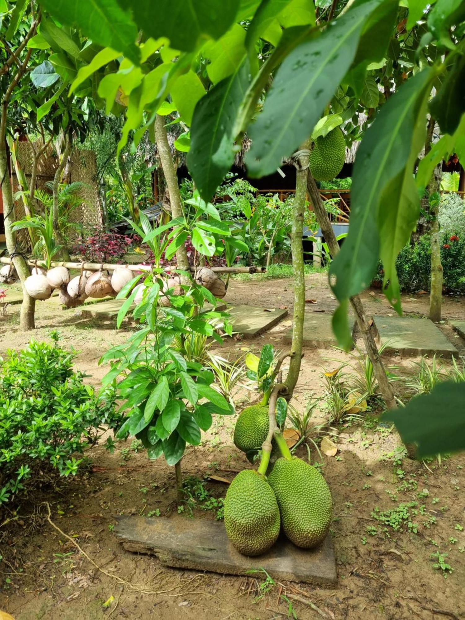 Homestay Nam Ham Luong Ben Tre Exterior foto