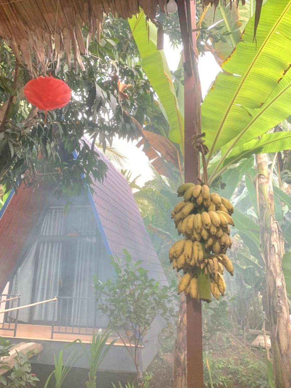 Homestay Nam Ham Luong Ben Tre Exterior foto